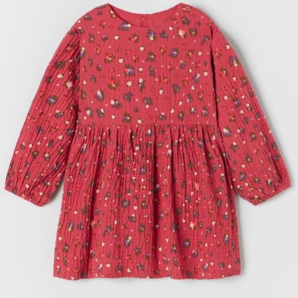 ZARA Kids | Red | Textured Floral Dress 4/5yr